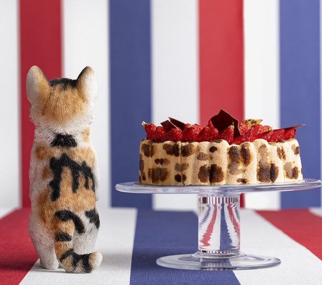 ストロベリーCATSコレクション