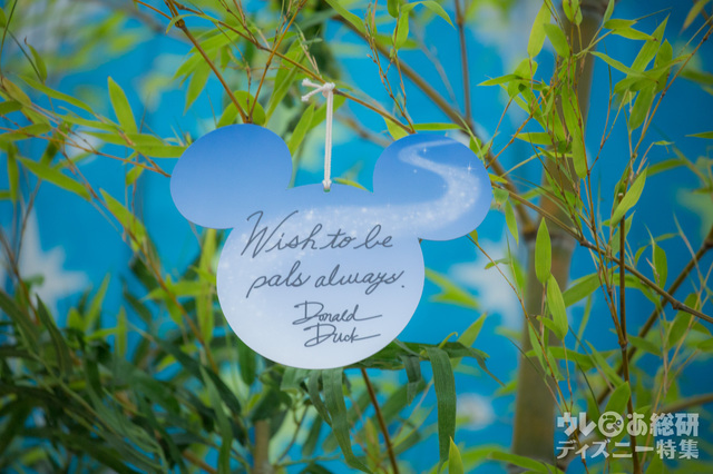 ドナルドダックのウィッシングカード