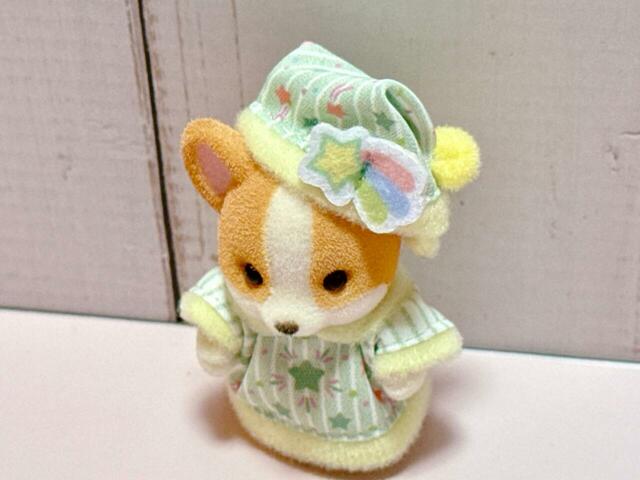 コーギーらしい大きな耳と、ふっくらしたほっぺがかわいすぎる〜!