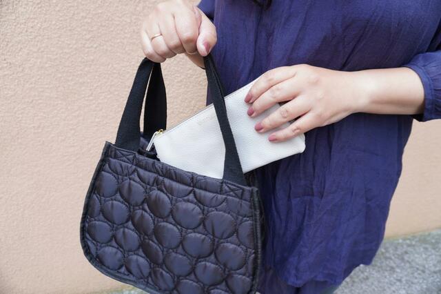 バッグインポーチとしても