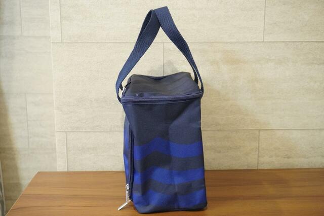 横から見たところ