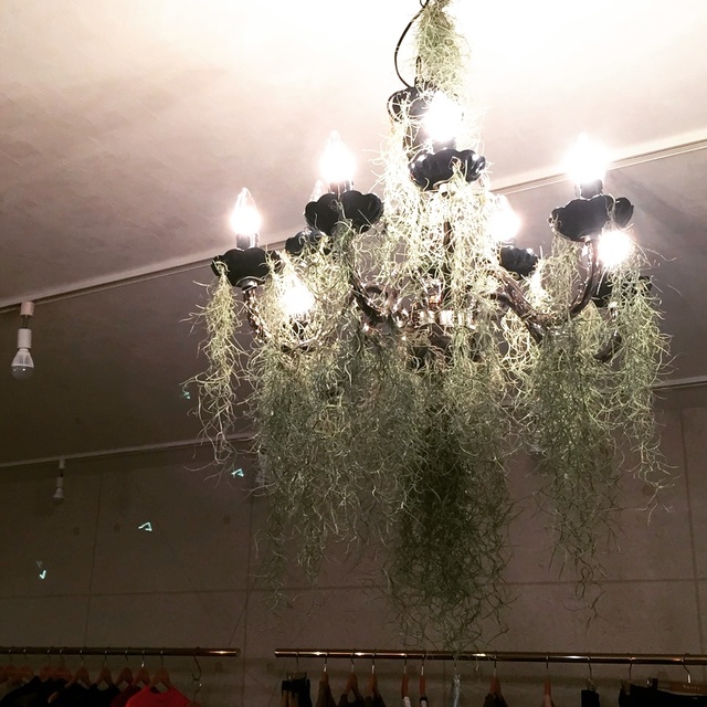 店内装飾は「花処百白花」