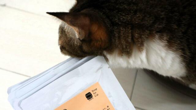 【スープストックトーキョー 猫のためのスープ 】とりあえず角にスリスリ