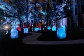 『チームラボ どんぐりの森の呼応する生命』 夜間の展示