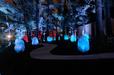 『チームラボ どんぐりの森の呼応する生命』 夜間の展示