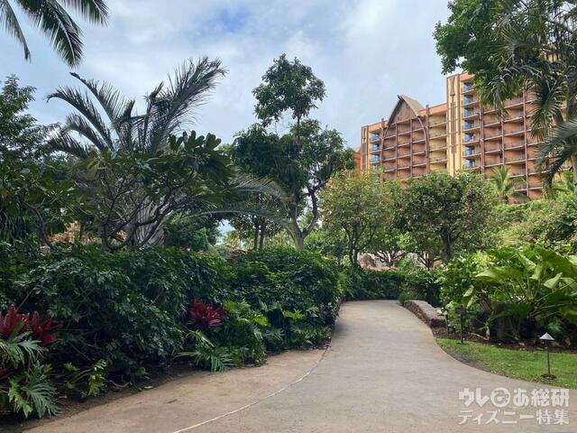 アウラニの風景