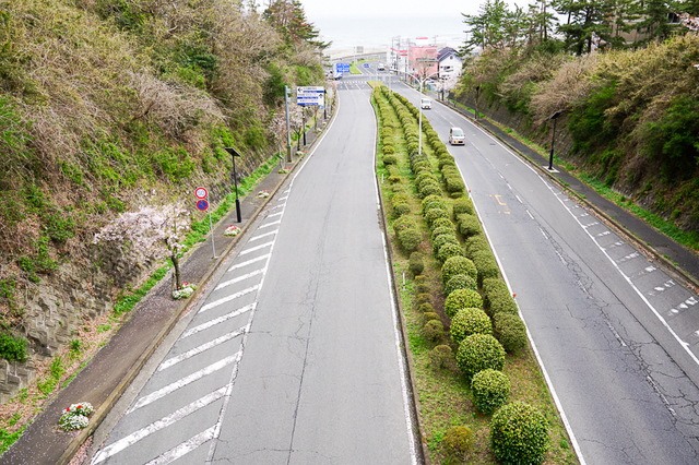 大洗磯前神社沿いの磯浜さくら坂通りに戦車が投下されました