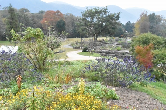 爽やかな自然の香りが広がるガーデン
