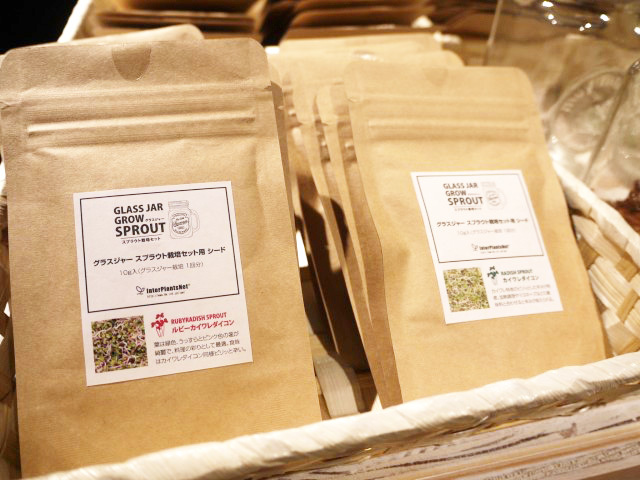 カイワレダイコンの種。上手に栽培できるかも楽しみのひとつ