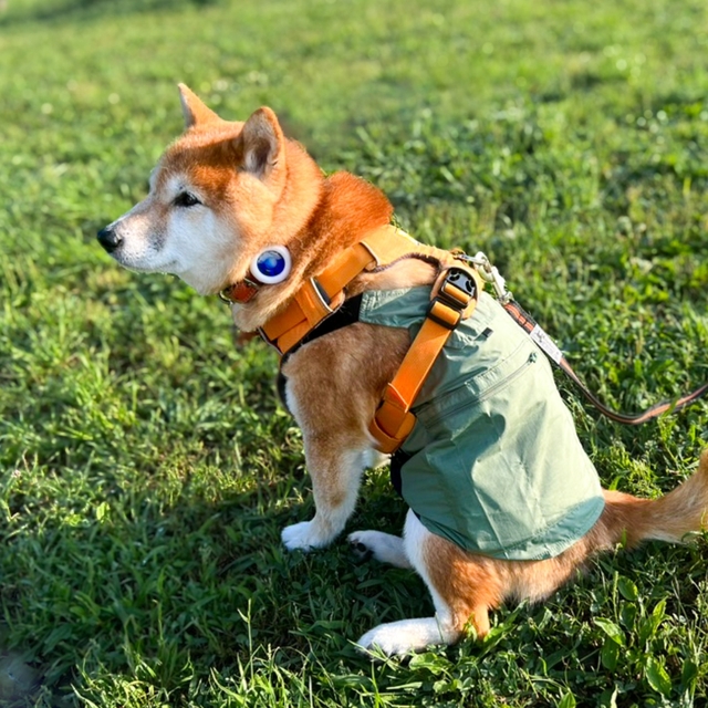 【IDOG ICE HOLD フィッシングベスト 保冷剤付】暑い日も口呼吸もなく、快適な様子です