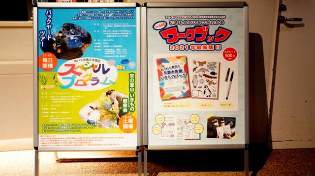 夏のスペシャルプログラムと、最新ワークブックのお知らせ