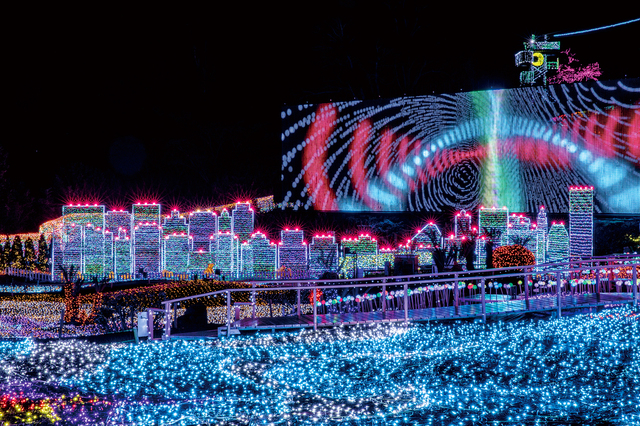 伊豆ぐらんぱる公園 グランイルミ