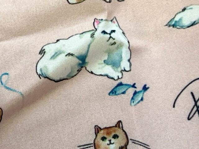 真っ白な長毛がチャームポイントのジプシー。近くにお魚も！