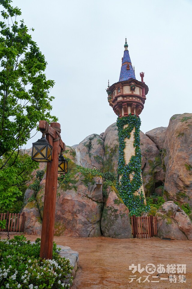 東京ディズニーシー「ファンタジースプリングス」内「ラプンツェルの森」