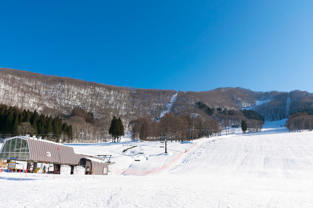 タングラム斑尾「タングラムスキーサーカス」