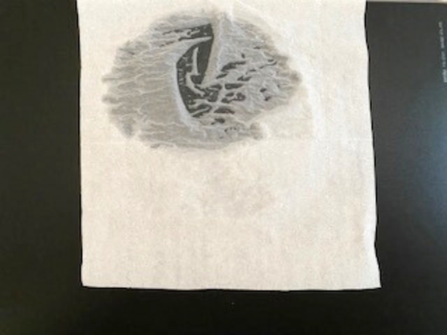 【カインズ 高機能スプレーマイクロミスト】勢いよくピンポイントに噴射されました！