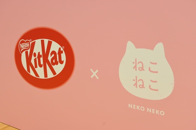 キットカット×ねこねこ