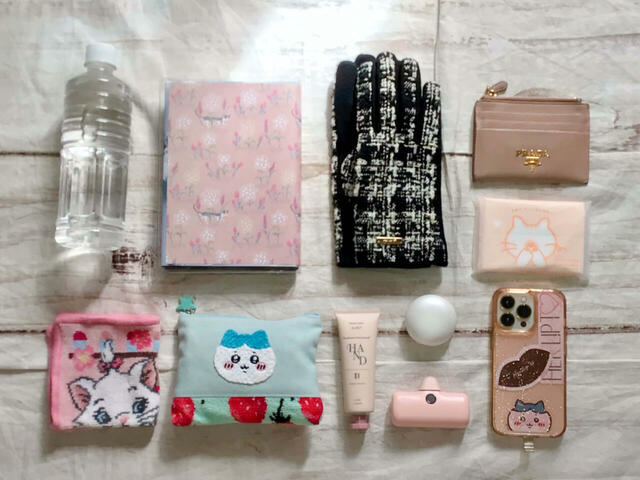 これだけのものが収納できました!