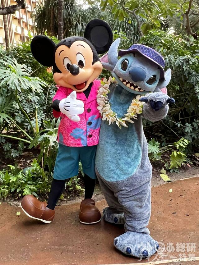 アウラニで会えるキャラクター