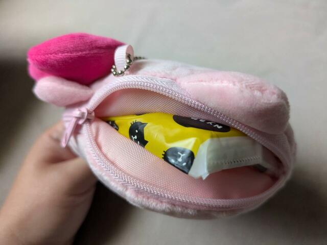 【付録:ハローキティぬいぐるみポーチ】小さめのポケットティッシュも入りました