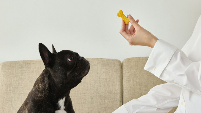 【DEAN ＆ DELUCA】国産食材にこだわったドッグフードやおやつも展開しています