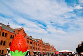 Yokohama Strawberry Festival