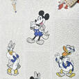 【Dooney & Bourke】ディズニーキャラクター トートバッグ The Disney100 Platinum Celebration Collection 51,700円