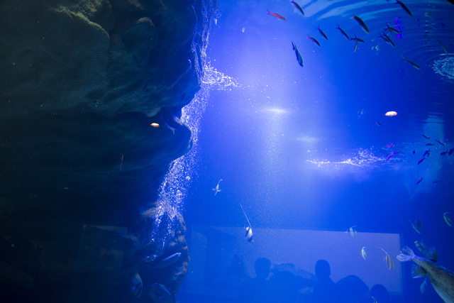 エプソン アクアパーク品川