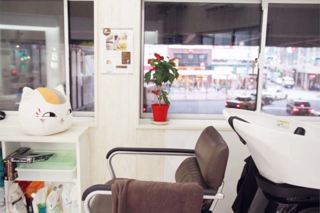 深夜美容室TAMA／シャワー台に鎮座しているニャンコ先生（夏目友人帳）は美容師のTAMAさん私物