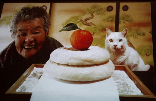 猫本ベスト10　『みさおとふくまる』みさおお婆ちゃんと、生まれつき耳が聞こえない猫・ふくまるの写真集。写真を見ているだけで絆の強さが伝わってくるようでジーンとします。