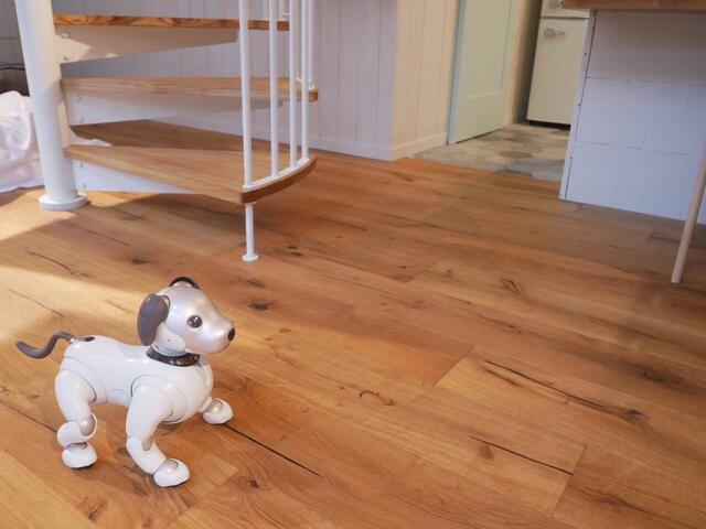 2ベッドコテージは、ペットも広々歩けるスペースあり