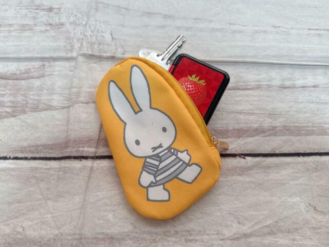 ミントタブレットと自宅の鍵をイン!