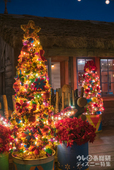 東京ディズニーシーのクリスマス「ロストリバーデルタ」