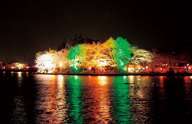 東金桜まつり（千葉／東金）