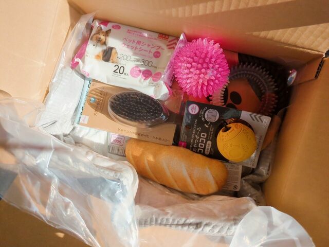 【ダイソー ペット用おもちゃ】ネットなら近所の店舗では入手できない商品も揃います