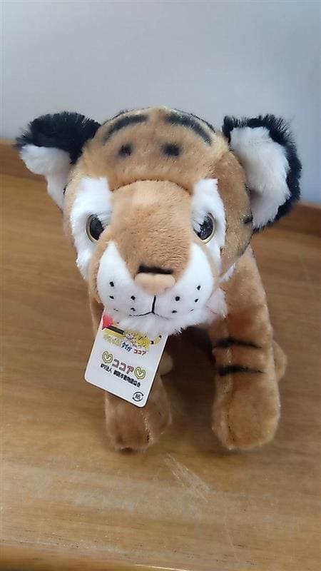 【銀座ロフト「旅する動物園」】「釧路市動物園」タイココぬいぐるみ　2,860円