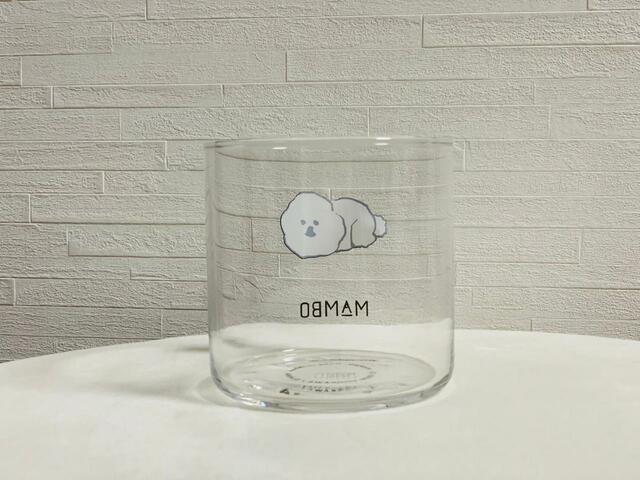 クリアグラスの後ろから覗いても、眠そうなMAMBOが…