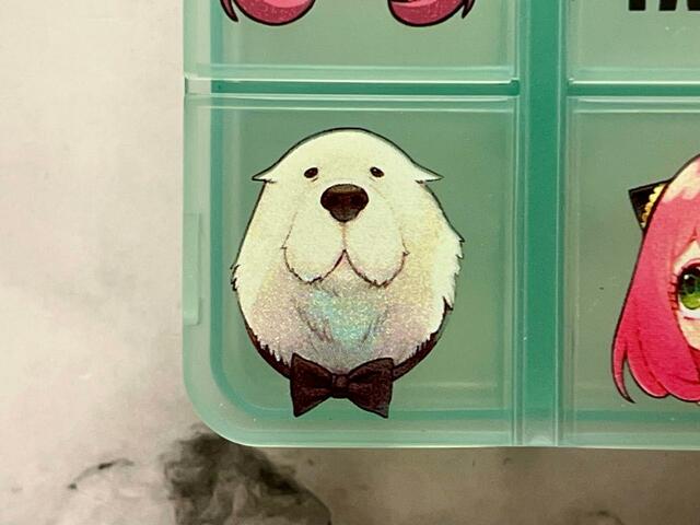 癒し系のボンドもいますよ♪