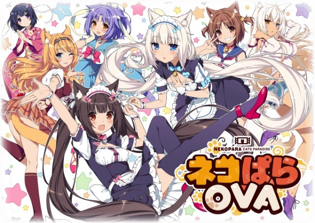 ネコ耳メイド同人ゲーム ネコぱら Ova 始動 クラウドファンディングは5000万円を突破 Medery Character S