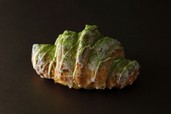 抹茶クロワッサン