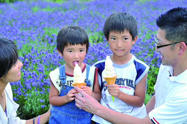 たんばらラベンダーパーク　ラベンダーソフト