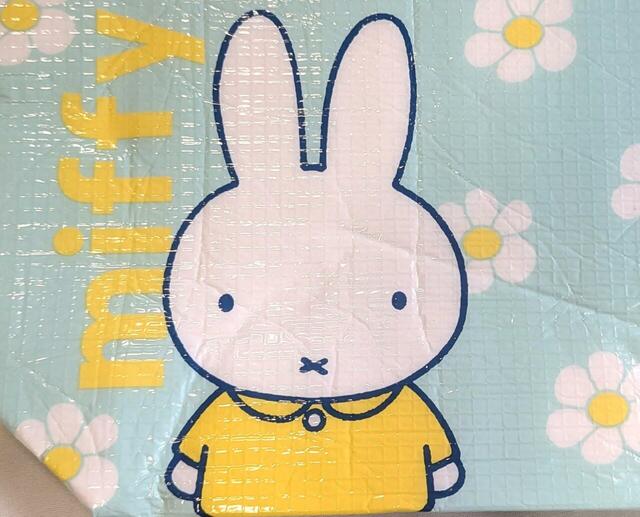 【ミッフィーの保冷ポーチ＆トートバッグ】保冷ポーチはかわいいミッフィーのイラストつき