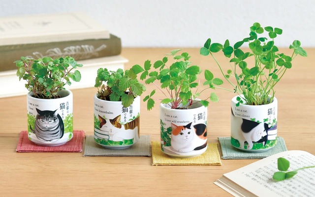 【聖新陶芸「お芽でたおちょこ　吾輩猫」】「吾輩は猫である」シリーズでおちょこでハーブver