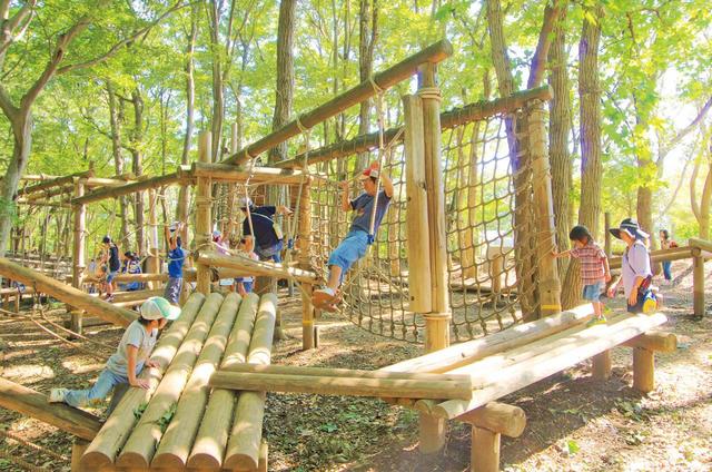 ふなばしアンデルセン公園森のアスレチック【千葉・船橋】　ダイナミックコースの中級者用ロープネット移動。軽々と渡る子どもの後で大人が四苦八苦することも