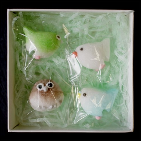 コトリシュガー 864円