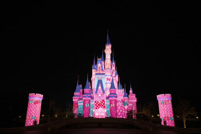 東京ディズニーランド|「ディズニー・パルパルーザ“ミニーのファンダーランド”」 |ファンダーナイト