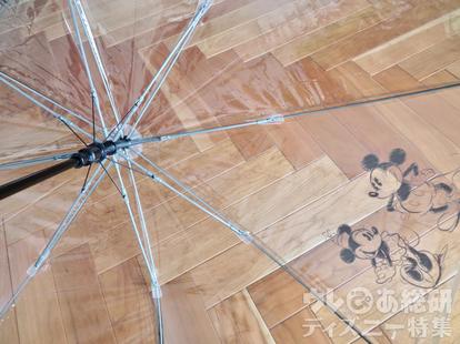 必携 雨の日ディズニー の持ち物 おすすめ雨具 便利グッズ まとめ 東京ディズニーリゾート 1 3 ディズニー特集 ウレぴあ総研