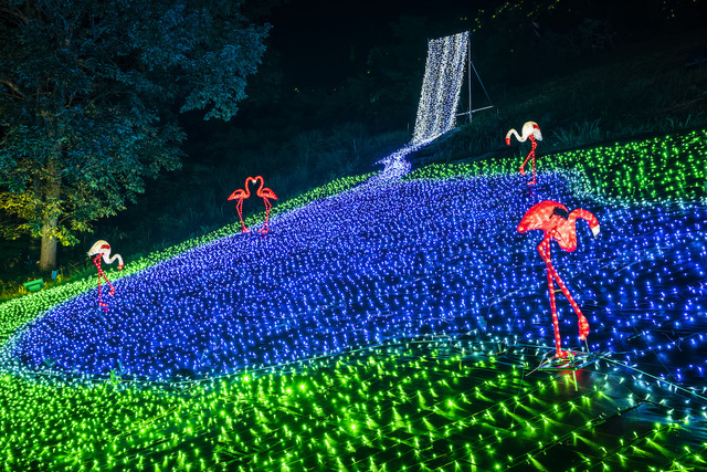 アパリゾート上越妙高「アパリュージョン2019」ナイトサファリアニマルロード