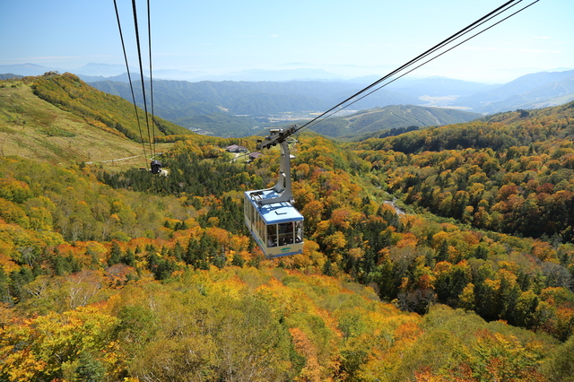 栂池ロープウェイ