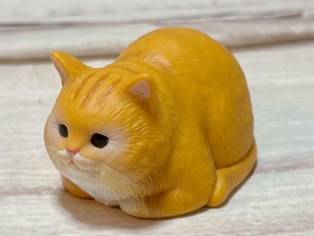 「7．香箱 茶トラ」